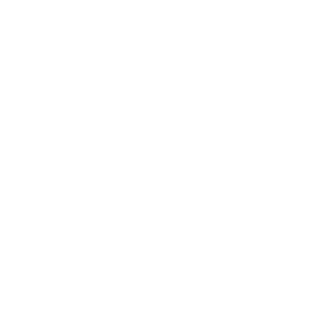 Seekers Logo